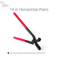 Kit d'outils HASHIR INTERNATIONAL pour le soin des sabots de chevaux/porcs, instruments vétérinaires, support à sabots réutilisable en acier inoxydable, cisaille à sabots