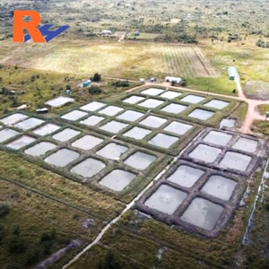 भू-मम्ब्रिन के आपूर्तिकर्ताओं ने जियोमेम्ब्रिन को मेक्सिकन जिमम्ब्रिना पेसिकुटुरा गुटेमाला का निर्माण किया - Product Image 4