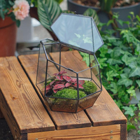 Vases de table Art Déco moderne faits à la main en bois, collection de sculptures botaniques décoratives, terrarium de mousse stabilisée