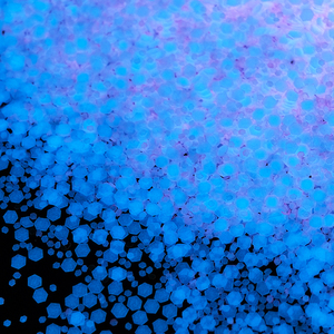 Glitter Olografico Esclusivo Luminoso 200+ Colori, Mix Natalizi LED per Globo di Neve, Regalo Fai-da-Te, Artigianato - Product Image 3