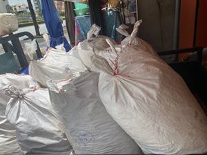 Natural Murex reina opérculo/Murex opérculo para Perfume/Lambis millepeda opérculo - Product Image 6