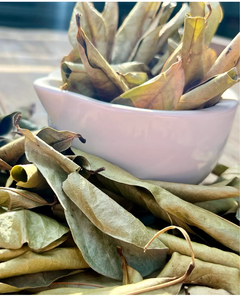 Feuilles de corossol du Vietnam, nourriture séchée et qualité d'exportation pour les herbes - Product Image 5