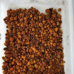 Calculs biliaires de bovins/vaches de qualité supérieure naturelle à vendre - Product Image 3