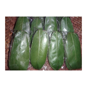 100% Feuille de corossol séchée naturelle, feuilles de Graviola de haute qualité du meilleur fournisseur au Vietnam - Product Image 5