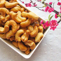Biologische gezonde gezouten houtgestookte cashewnoten, goede smaak, gedroogd fruit, snack, Vietnamese leverancier, kwaliteit Kim Long