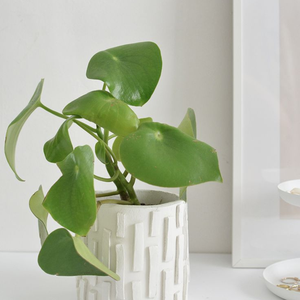 Modern Round Cement Flower Pot <b>Planter</b> with Drainage Hole Indoor Outdoor Garden Patio <b>Planter</b> - Product Image 3