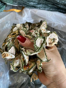 High Quality Food <b>Dried</b> Bitter Melon Slices Dry <b>Vegetable</b> From Vietnam - Product Image 4