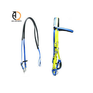 Licol en cuir pour l'équitation, pour l'entraînement des chevaux, cuir travaillé à la main, licol en corde de nylon design - Product Image 5