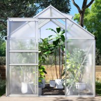 Meilleure vente 6 * 6FT cadre en aluminium Yard Home Use Garden Polycarbonate Greenhouse Kit