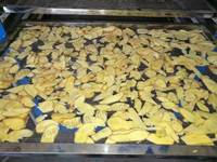 Équipement de séchage de chips de fruits de datte de pomme Machine de déshydrateur d'ail noir de feuille de four de séchoir de nourriture de jujube