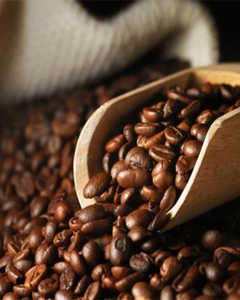 ผู้ผลิตกาแฟคั่วเวียดนาม กาแฟคั่วสดใหม่และจำหน่ายแบบขายส่ง - Product Image 1