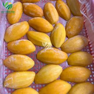 มะม่วงแช่แข็งคุณภาพดีที่สุด - ข้อเสนอสุดพิเศษ - จัดหาจำนวนมากจากเวียดนาม - Product Image 4