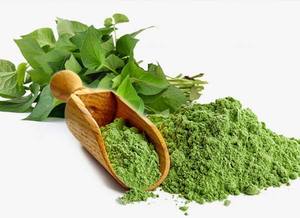 100% POUDRE DE HOUTTUYNIA CORDATA NATURELLE/HERBE DOKUDAMI SÉCHÉE/UTILISATION DÉTOX ET SOIN DE LA PEAU/POUDRE PURE DIEP CA - Product Image 3