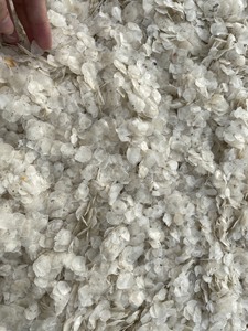 Prix pas cher 100% meilleure qualité séchée propre Tilapia écailles de poisson en vrac Style emballage paquet poids séché tilapia poisson échelle - Product Image 3