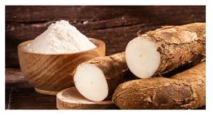 แป้งมันสำปะหลังเป็นกลุ่มแป้งมันสำปะหลังสำหรับทำอาหารเกรดอาหารใหม่ขายปลีกจาก99โกลด์ดาต้าเวียดนาม - Product Image 6