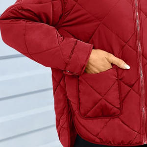 Veste d'hiver brodée personnalisée avec impression de logo Manteau thermique isolé et chaud pour l'extérieur OEM ODM fabricant direct d'usine - Product Image 2