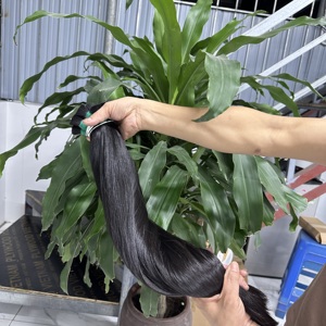 Haute qualité vietnamien soyeux bébé cheveux fins 100% cheveux humains naturels en vrac - Product Image 2