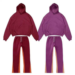 Conjunto Deportivo de Alta Calidad 100% Algodón, Estilo Casual, Felpa Francesa, Bordado, Invierno, Cortavientos, Transpirable, Sudadera con Capucha y Pantalones Deportivos con Cierre - Product Image 5