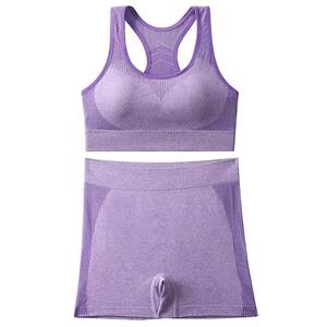 ชุดออกกำลังกายโยคะสำหรับผู้หญิง คุณภาพพรีเมียม ขายส่ง แบบ 2 ชิ้น ผ้าโพลีเอสเตอร์/ไนลอน ป้องกันแบคทีเรีย พร้อมเชือกผูก - Product Image 4