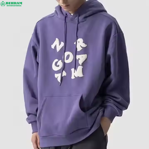 Nouveau design de sweat à capuche à manches régulières, 350 GSM, en molleton français épais, broderie unie 3D, 100% coton, écologique - Product Image 5