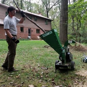 WC375 Wood Chipper Machine with Gear Bearing Gearbox Core Components 8t/h Capacity Easy Operate for Shredding <b>Tree</b> <b>Branches</b> Wood - Product Image 4
