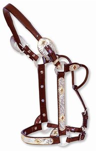 Halter en cuir Halter de spectacle de haute qualité avec raccord en argent de haute qualité Couleurs de cuir assorties faites à la main - Product Image 5