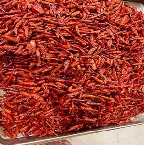 Offre Spéciale en gros naturel exportation piment rouge épicé chaud piment séché approvisionnement d'usine en stock livraison rapide - Product Image 3