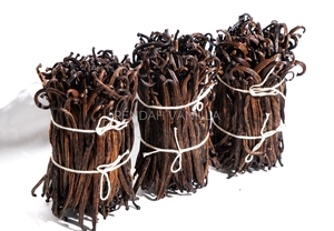 Vainas de Vainilla Planifolia - Grado 3 - 18-19.9 cm, la Mejor Calidad Bourbon a Granel para Extracción, Gran Venta, Mejor Precio de Indonesia - Product Image 4