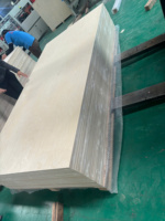 Tablero fenólico de madera contrachapada de abedul de diseño minimalista resistente de fábrica vietnamita de grado DD más vendido para apartamento de almacén