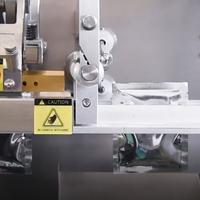 Machine d'emballage horizontale automatique Acepack pour sachets plats, pour poudre de thé, café, épices, granulés, liquides