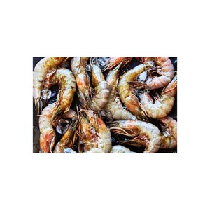 Crevettes Vannamei surgelées en gros, produits de la mer très demandés, vente en vrac, prix compétitifs - Product Image 3