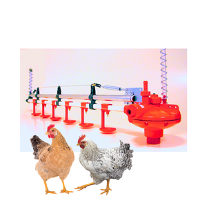 Système de ligne automatique d'alimentation et d'abreuvement livraison rapide plastique pour poulet volaille équipement d'élevage fabricant du Vietnam - Product Image 4