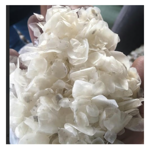 วัสดุจากเกล็ดปลาแปรรูประดับพรีเมียมแหล่งคอลลาเจนขายส่ง | พร้อมส่ง - Product Image 2