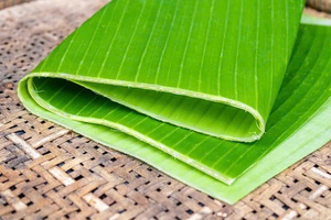 Norme d'exportation de feuilles de bananier séchées et fraîches au meilleur prix pour le papier à usage alimentaire pour le stockage congelé - Product Image 2