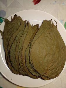 Daun Sirih Kering Premium 100% Alami untuk Penggunaan Tradisional, Obat Herbal, Perawatan Mulut, dan Kesehatan