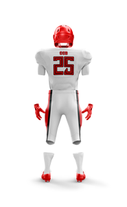 Conjunto de ropa de fútbol americano personalizable, pantalones y calcetines de Jersey transpirables con nombre de jugador y logotipo, opciones de talla grande de alta calidad - Product Image 5