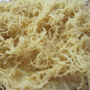 Wholesale Seasoned Dried Eucheuma Cottonii Seaweed High Carrageenan Yield <b>Natural</b> and Sustainable Packaged in Bag - Product Image 3