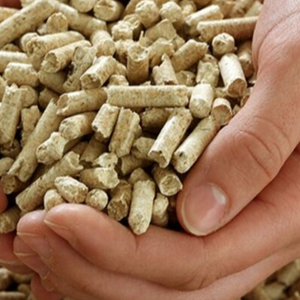 Granulés de bois Granulés de bois de Offres Spéciales qualité à vendre/Granulés de bois de hêtre sapin pin - Product Image 3