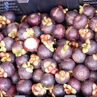 Thaise biologische verse mangosteen - natuurlijk zoet & rijk aan voedingsstoffen, kwaliteit A, merk Khey Taladthai, in doos verpakt voor export naar Nederland