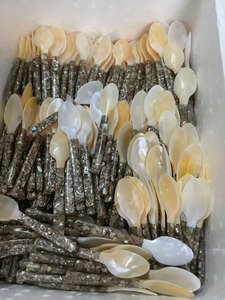 HIGH QUALITY <b>Pearl</b> Spoon Smooth Shell Spoon Designed for Accurate Tasting Portions of Caviar Desserts and Light Sauces Vietnam - Product Image 4