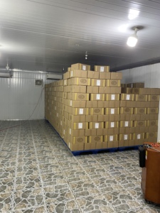 Mangue douce naturelle séchée de qualité supérieure vente chaude lisse et juteuse en gros - Product Image 2