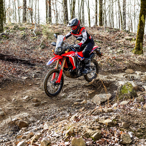 2024 Rallye HondaaCRF 300L - Product Image 3