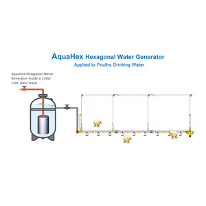 Nuevo bebedero de pollo con cilindro generador de agua Hexagonal de acero inoxidable para beber aves de corral - Product Image 4