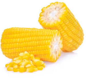 CASOS DE MAÍZ DULCE ORGANICO FRESCO CONGELADO/NATURALMENTE SUPERIOR/PRECIO ACCESIBLE/HECHO EN VIETNAM - Product Image 1