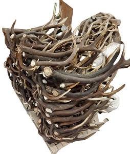 Cheap Red <b>Deer</b> <b>Antlers</b> <b>for</b> <b>Sale</b> - Product Image 1