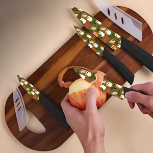 Juego de Cuchillos de Cocina de Cerámica con Mango de Plástico, 4 Piezas, Herramientas de Cocina al por Mayor, Entrega Rápida - Product Image 4