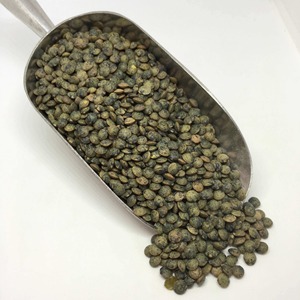 Lentilles vertes séchées sans danger pour les aliments Lentilles vertes propres avec un faible niveau d'humidité et un emballage en vrac pour la distribution à l'exportation - Product Image 4