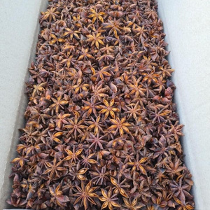 โป๊ยกั๊กต้นกำเนิดเวียดนามขายส่ง - Product Image 5