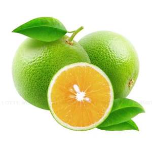 Oranges de Valence fraîches de qualité supérieure AA, Brix élevé 12%+, forte teneur en jus, certifiées export - Product Image 1