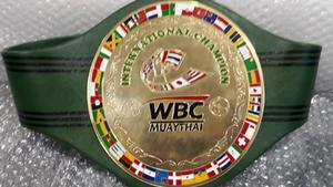 Cinturones de campeonato de boxeo Trofeos Medallas y premios el símbolo definitivo de la victoria y la excelencia Cinturones de Campeonato - Product Image 4